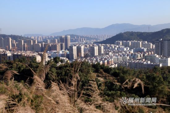福州市罗源县凤梅产品公园:乡愁古韵,四色文化生态包装设计v产品图片