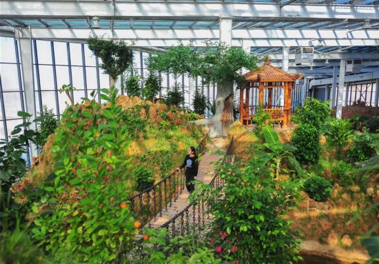 内蒙古包头:太阳能供热引领城市绿色发展