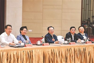 吴政隆南京代表团审议:争当高质量发展排头兵