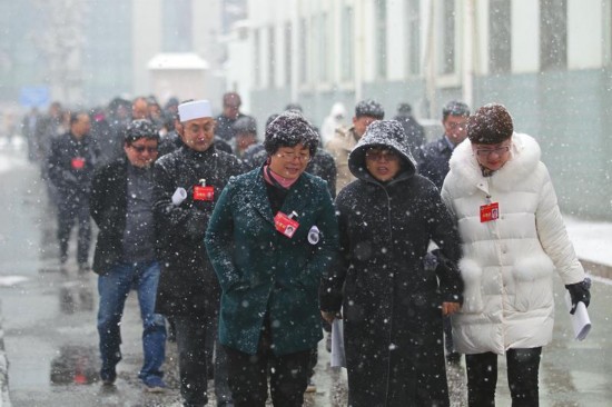 大雪紛飛 代表委員熱情履職