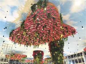 桂林洋国家热带农业公园下月开园