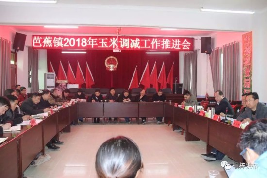 芭蕉五到位迅速推进农业产业结构调整