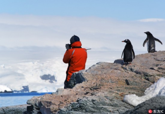 A person in an orange jacket graphs the scenery of the Antarctic Peninsula, observed by two gentle penguins on September 2, 2014. [Photo: IC]