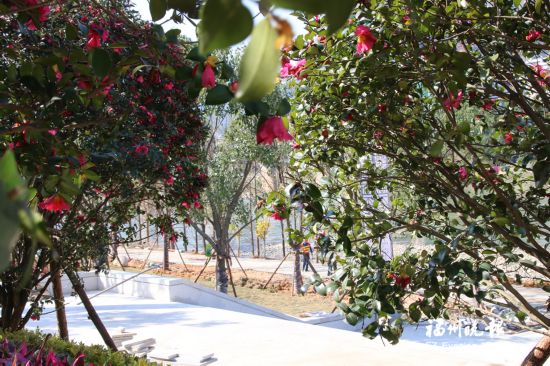 大樟永泰小汤山效果图片春节前迎客福州溪畔客厅装修公园生态客厅设计图图片