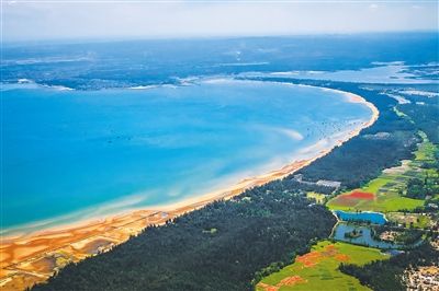 儋州市光村鎮海岸線海防林。