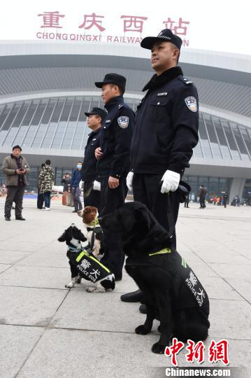 重庆警犬上岗助阵旅客平安出行