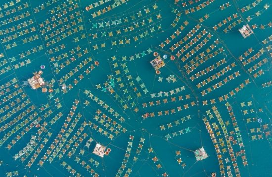 2017年天空之城航拍摄影大赛获奖作品