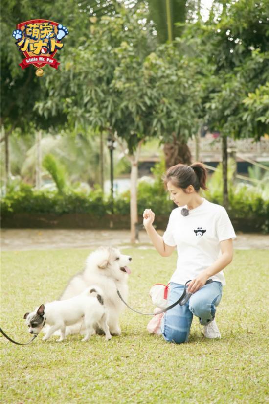 《萌宠小大人》刘涛曾舜晞再破育儿难题