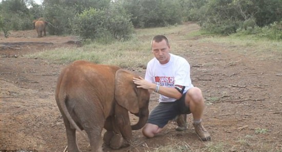 滑稽!调皮小象不停推搡拍摄视频男子