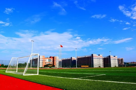 平果:建强高等职业教育 助推县域经济发展