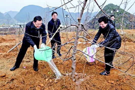 贵州省2018年义务植树活动举行 孙志刚谌贻琴