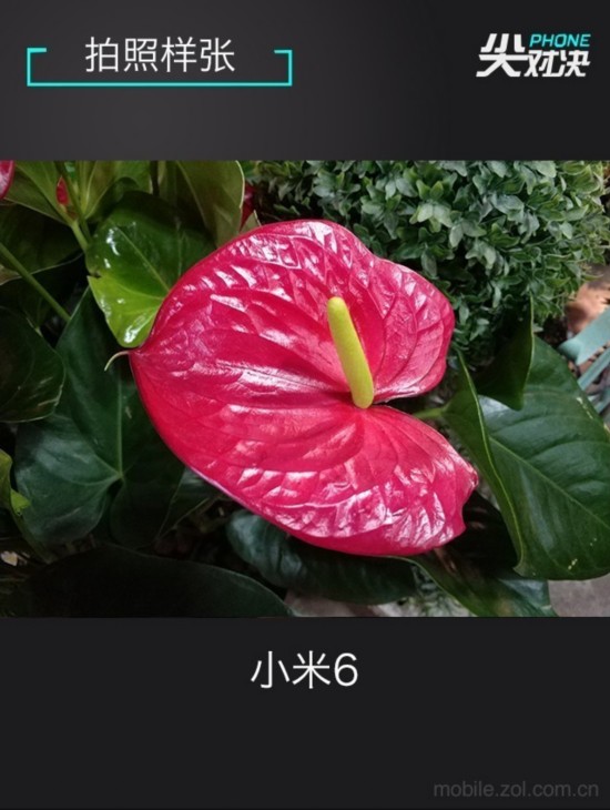 小米/nova/一加 實力干將瓜分旗艦三國 