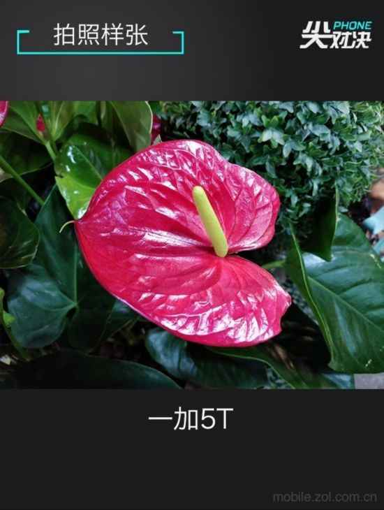 小米/nova/一加 實力干將瓜分旗艦三國 