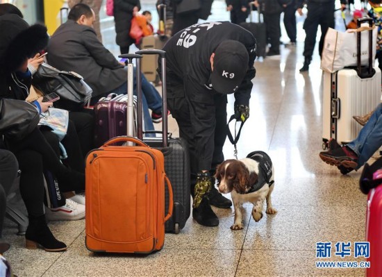 石家庄:警犬上阵 护航春运