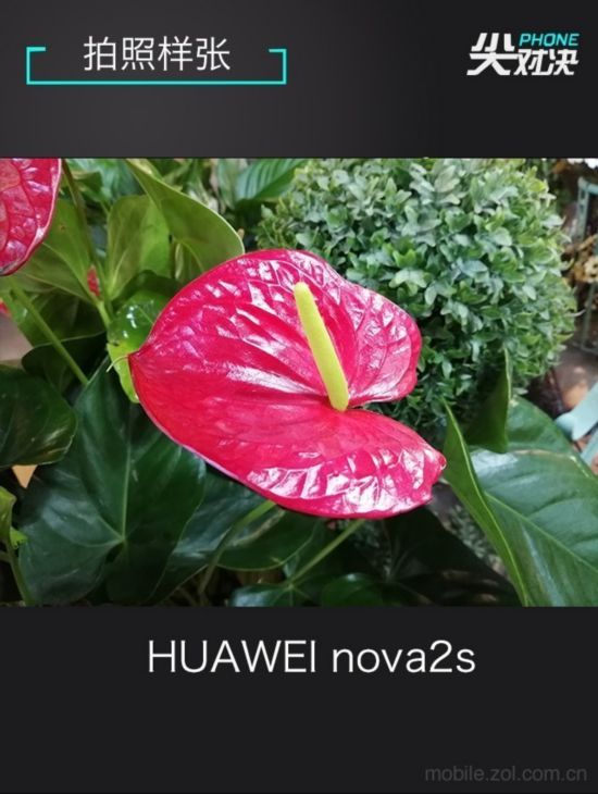 小米/nova/一加 實力干將瓜分旗艦三國 