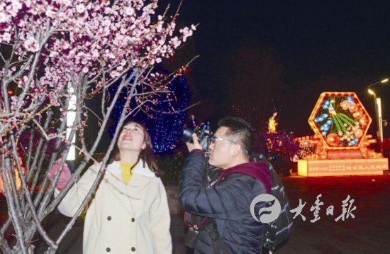 盐城大丰梅花湾景区水韵梅花迎春来