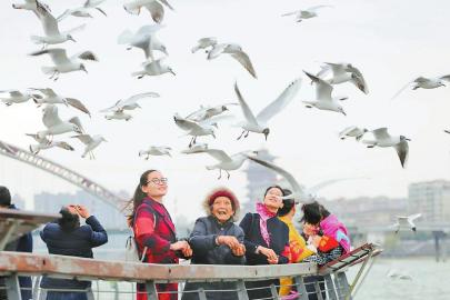 学雷锋 关爱老人