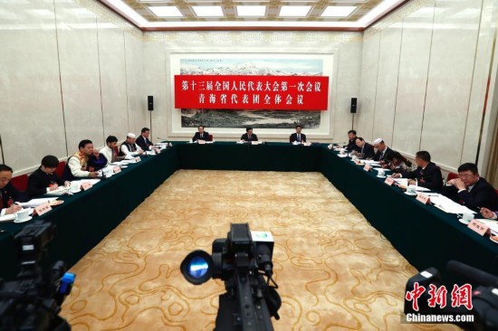 全国人大青海省代表团举行全体会议 审议宪法