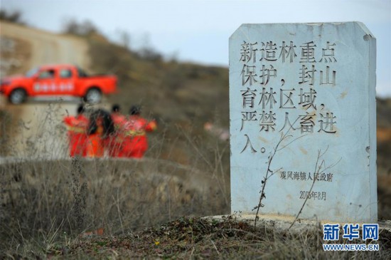 （圖文互動）（7）貴州沙子坡林場：三代護林員守護一片“林海”