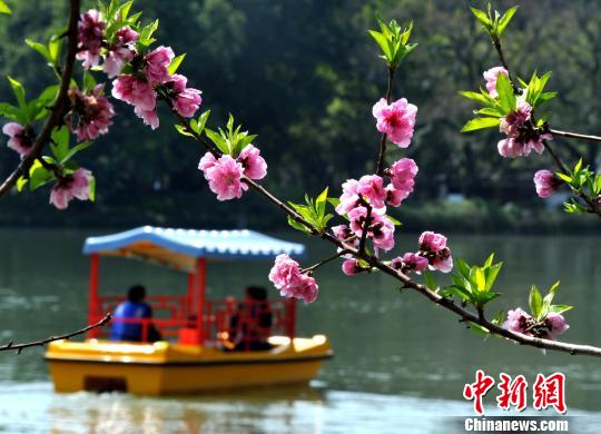 图为游客划着小船在公园内赏花。 张斌 摄