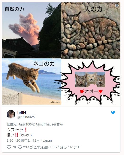 微信截图_20180312182644.png