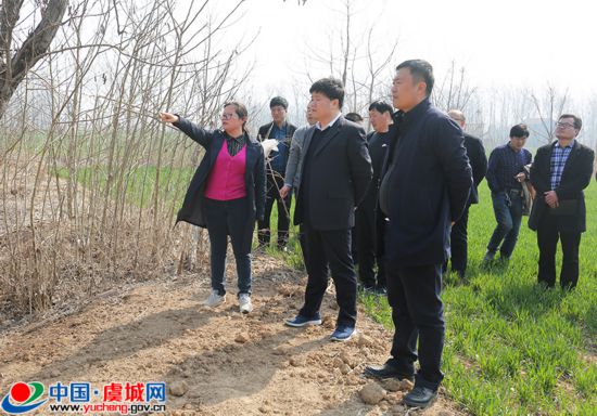 虞城县县长白超调研湿地公园项目规划工作