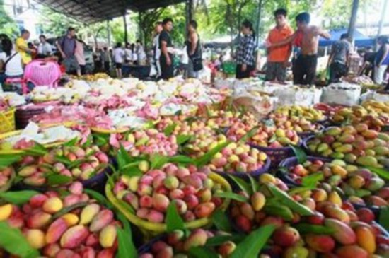 2018三亚国际芒果产业大会暨热带水果产业博