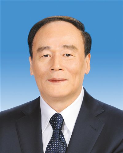 中华人民共和国副主席王岐山简历