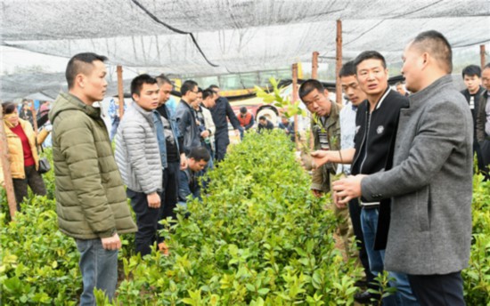 庆远镇人口_庆远镇携同企业慰问贫困户(3)