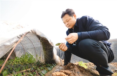 陕西省各县人口_陕西山阳县山体滑坡失踪人数上升为60余人-浙江频道