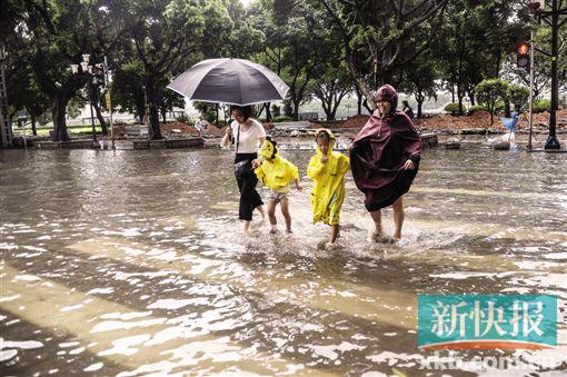 今年广州台风和龙舟水都偏多