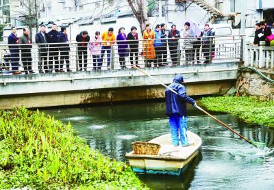 南京建鄴區人大代表關注河道治理 監督治水