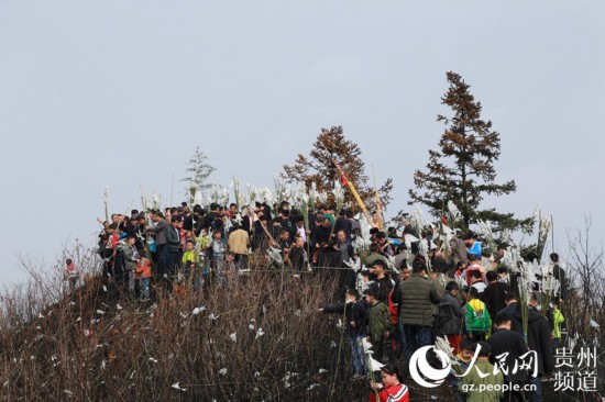 雷山县有多少人口_雷山县县委书记杨锦青(3)