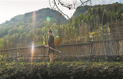 武当山隐士:粗茶淡饭,抚琴练剑,称回城里会受不