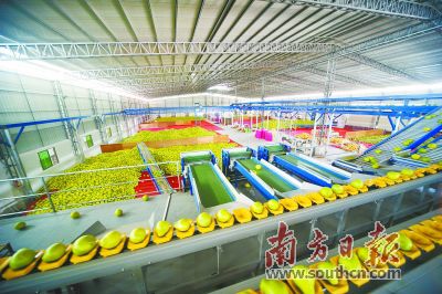 广东实施百园强县、千亿兴农现代农业产业园