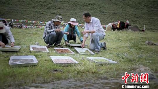 追忆钟扬：一位奔走在青藏高原的“追梦者”