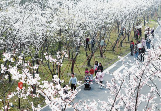 本周苏州最高气温有望达到27℃左右 无明显降水