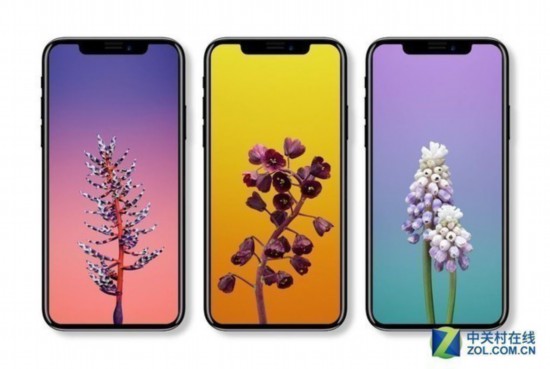 OLED淪為配角！新iPhone為何依舊主推LCD？ 