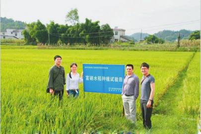 宜宾市兴文县僰王山富硒水稻种植试验田.