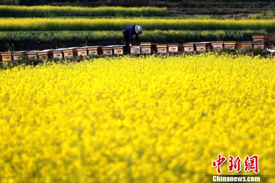 城固县人口_城固县朝阳中学图片