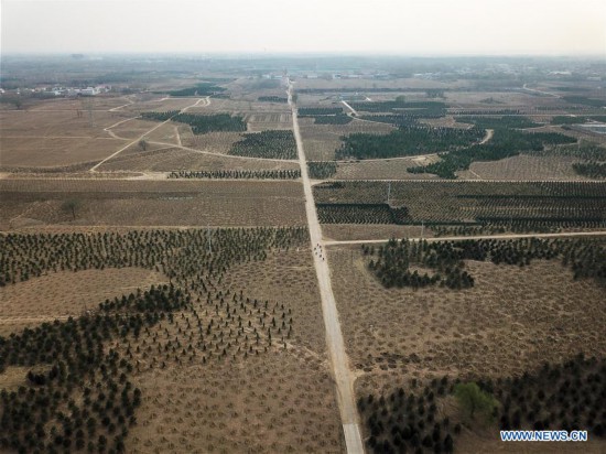 One year on: aerial view of Xiongan New Area