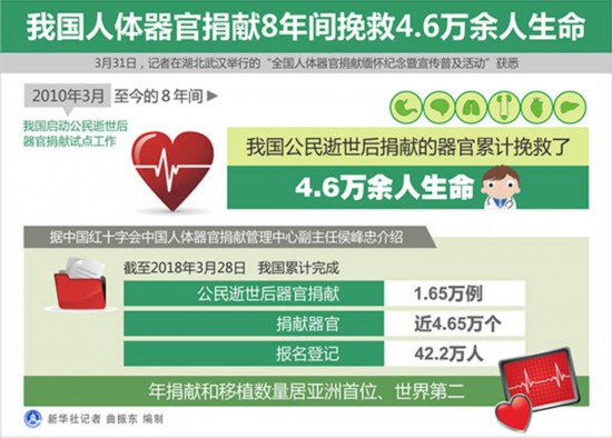 倡导公民在生命不可挽救时自愿 无偿捐献能用的器官