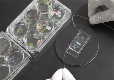 首枚会变色的心脏芯片问世