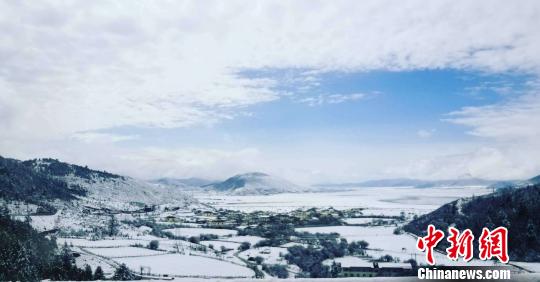 云南多地迎飞雪独特花海雪景引人入胜