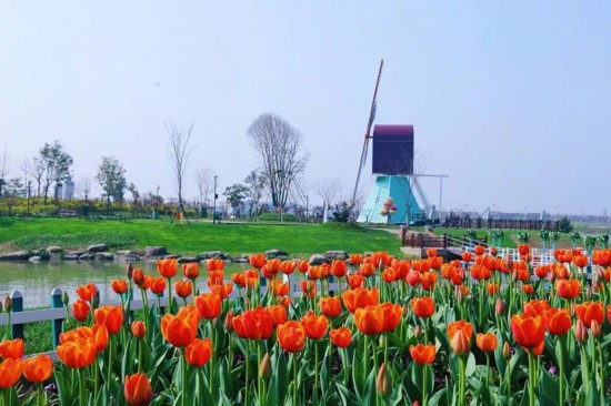 王荣平会见中国建筑集团高层 开展深度合作