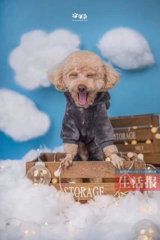 南宁这位摄影师只拍宠物 难度系数超乎你的想