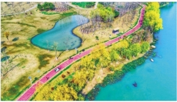 最美人间四月天 花样合肥尽妖娆