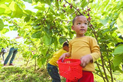 莆田仙游：瞄准资源优势主攻特色产业