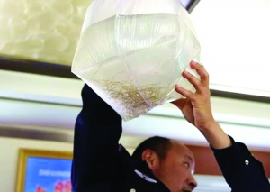 出售长江鳗鱼苗近千万元 靖江摧毁犯罪团伙