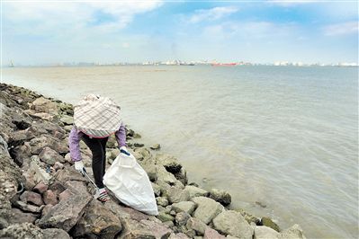 广州番禺海鸥岛特殊地理位置致使江河垃圾靠岸积聚